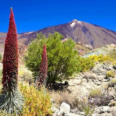 Preciosa Casa Emblematatica, Piscina,wifi