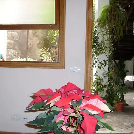Preciosa Casa Emblematatica, Piscina,wifi بيت للعطل