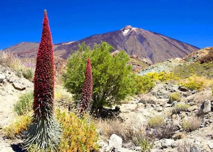 Preciosa Casa Emblematatica, Piscina,wifi