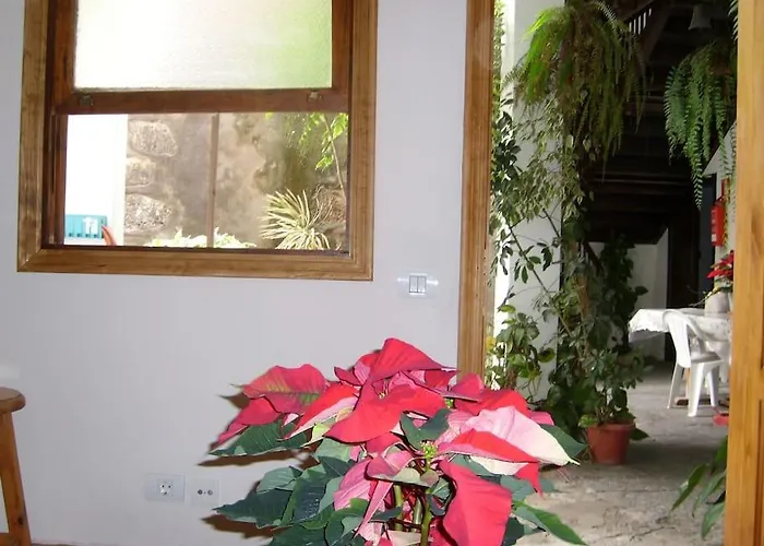 Preciosa Casa Emblematatica, Piscina,wifi بيت للعطل